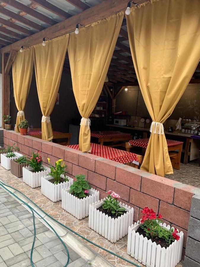 Гостевой Дом Пегас Otel Pitsunda Dış mekan fotoğraf